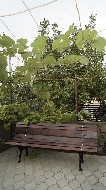 Nino'S Guest House Тбилиси Стая снимка