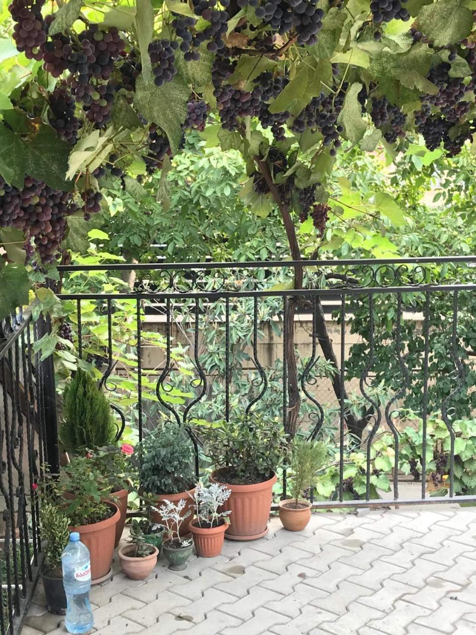 Nino'S Guest House Тбилиси Екстериор снимка